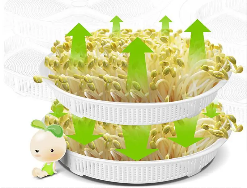 Машина для производства ростков бобов машина для выращивания бобов для домашнего использования
