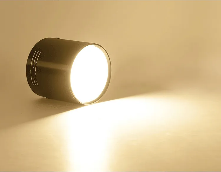 Dimmable LED COB Spotlights Ceiling lamp AC85-265V 5W 7W 9W 12W 15W Round Downlights Warm Cold White LED Lamp Indoor Lighting