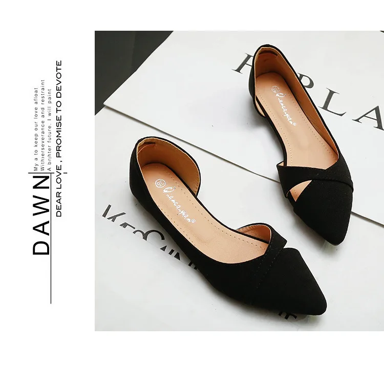 9136304866_837066992