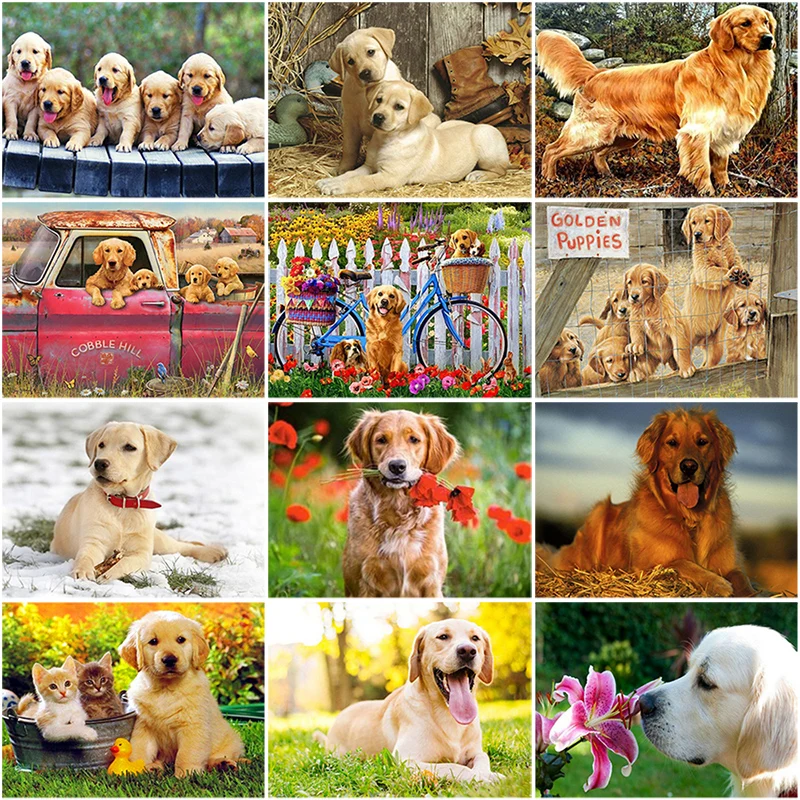 

DIY 5D Diamond Painting Dog Diamond Embroidery Golden Retriever Dogs Animal Mosaic Cross Stitch Full Round Rhinestone Child Gift