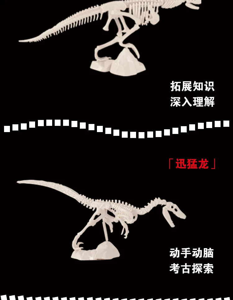 Pinado Archeology Dig игрушка динозавр Fossil Дети DIY Dig образовательная модель динозавр классический комбо 8
