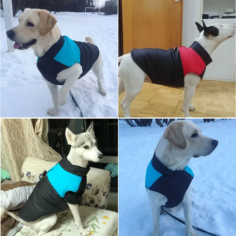Zimowe ciepłe ubrania dla psów wodoodporna Pet ocieplana kamizelka kurtka z zamkiem płaszcz dla małych średnich duże psy mops Chihuahua Ropa Para Perros 4 Zimowe ciepłe ubrania dla psów wodoodporna Pet ocieplana kamizelka kurtka z zamkiem płaszcz dla małych średnich duże psy mops Chihuahua Ropa Para Perros 4