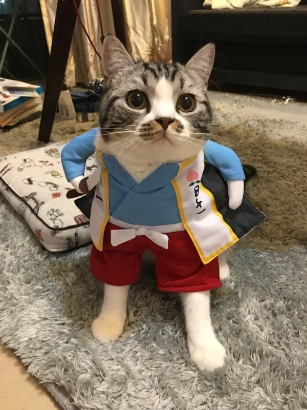 H7d391b3ef3b24905825dc7f5f56e6adeg