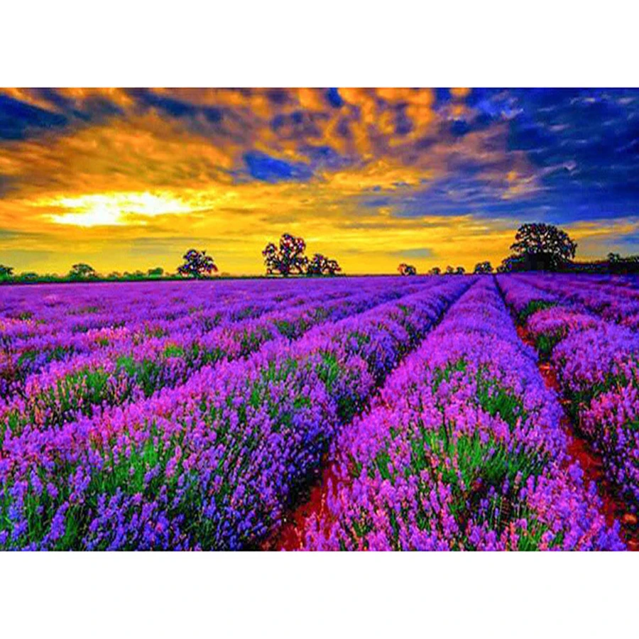 5D DIY Diamond Painting Lavender Field landscape Cross Stitch Full square Diamond Embroidery Diamond Mosaic Pictures Home Decor