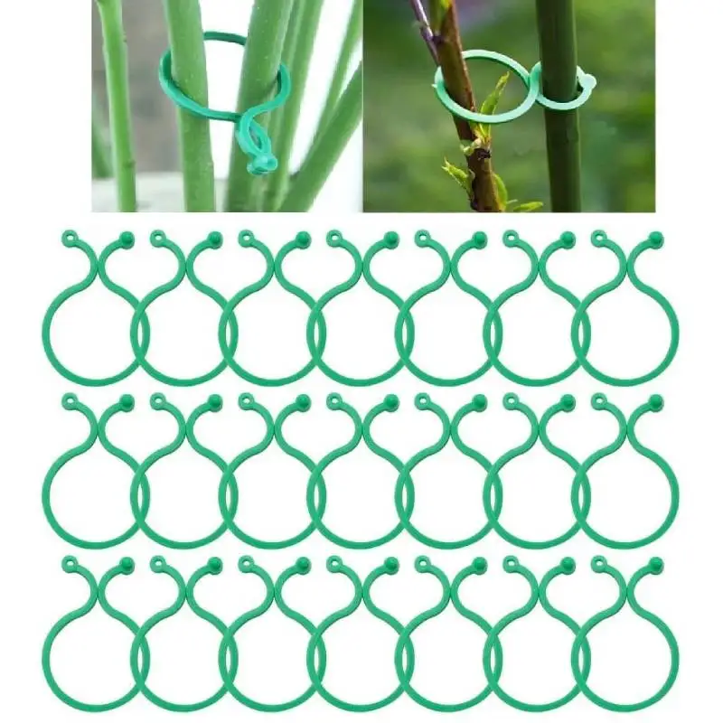 50pcs Garden Plant Support Clips Orchid Flower Ties Vegetables Tomato Vine Plastic Locks