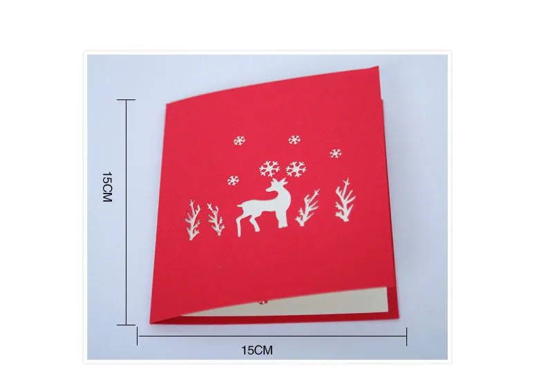 3576712431_281475579