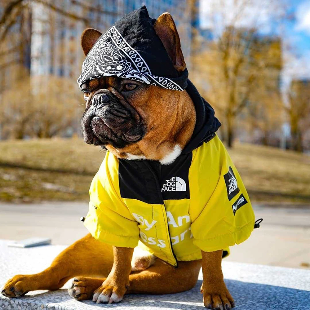 Зимняя ветрозащитная водонепроницаемая одежда для собак, модная куртка для собак средних и больших размеров, одежда для собак из лабрадора, одежда для домашних животных, бульдог