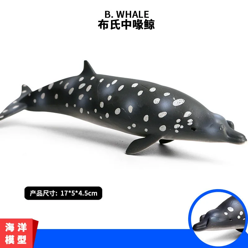 1 шт. черный Высокое качество блайнвилль's beaked whale модель популярное украшение аквариума дети морская рыба обучения ролевые подарки в виде животного