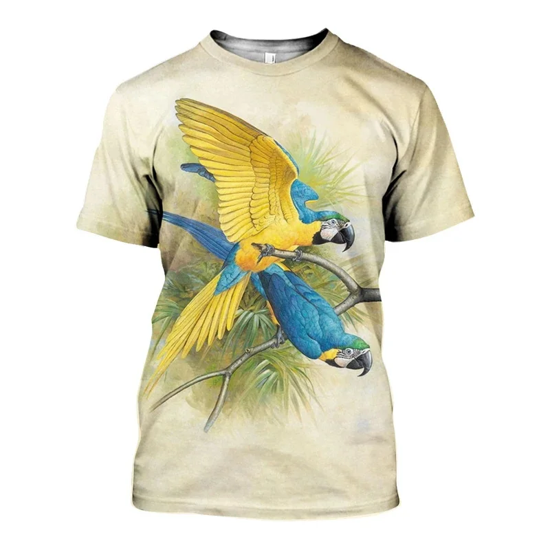D_c_Blue_Yellow_Macaw_3D_DT301013_TS_800x