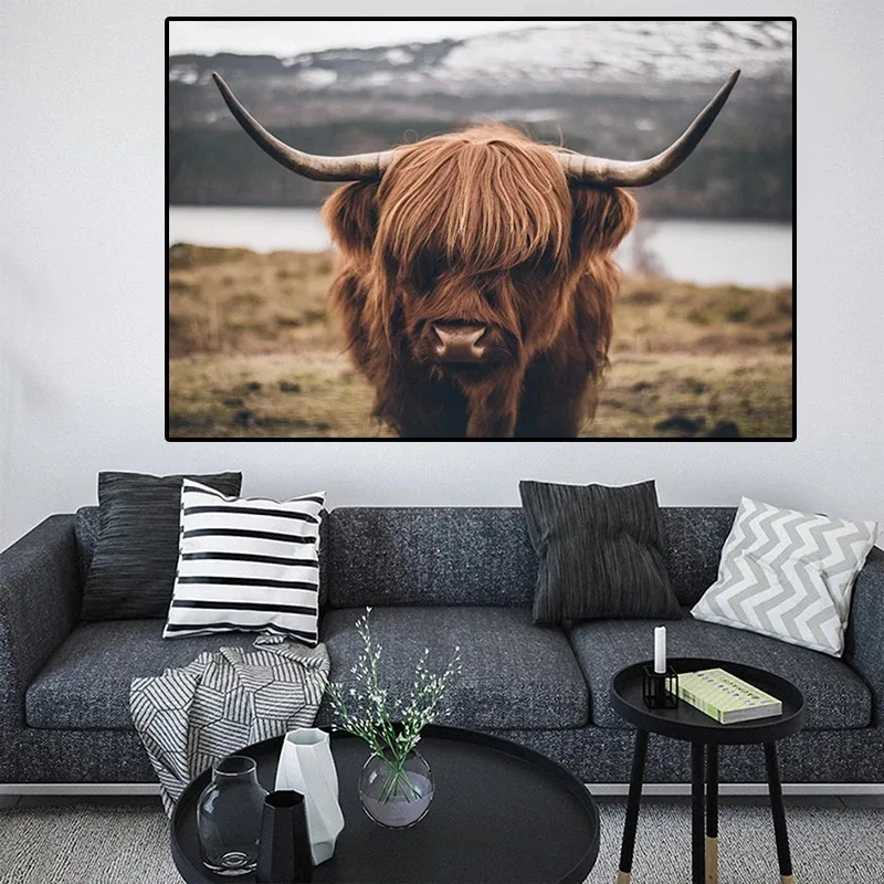 Highland корова дикий картина с рисунком животных крупного рогатого скота Плакаты и