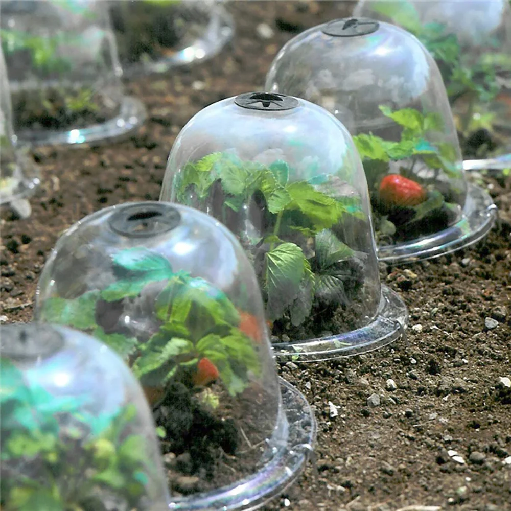 Cabilock 10pcs Garden Cloche Plastic Plant Dome Bell Covers Reusable Mini Greenhouse Plant Protector Clear Germination Cover Frost Guard 