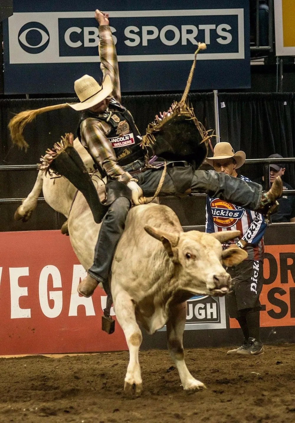 110 Home Decor Professional Bull Riders Pbr 4-Silk Art Poster Wall Sicker Decorazione Regalo