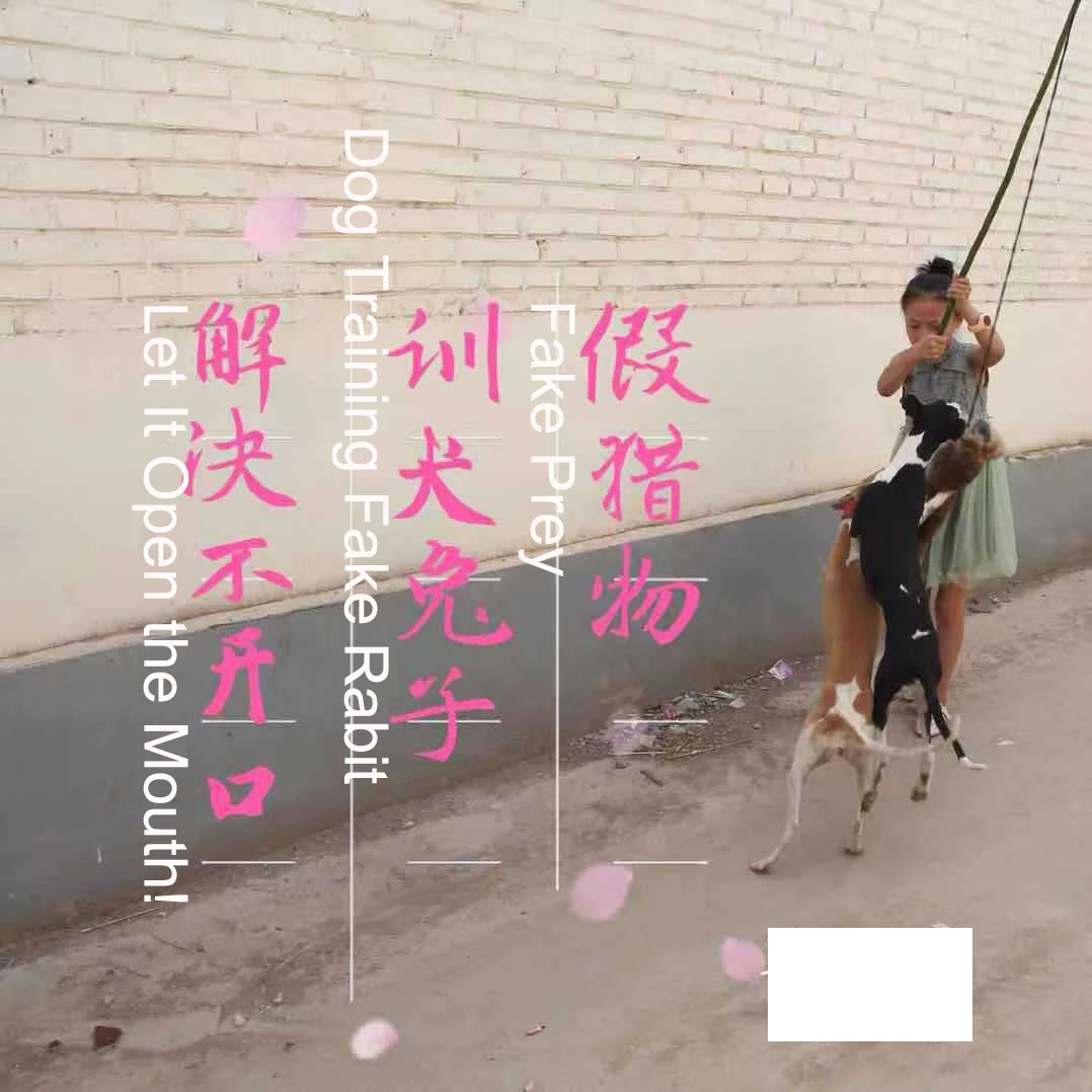 Pet Dog Toys Artifact Fake Prey Simulation Vocal Rabbit for Dog Training Chewing Barking Training Squeaky Whistling Device