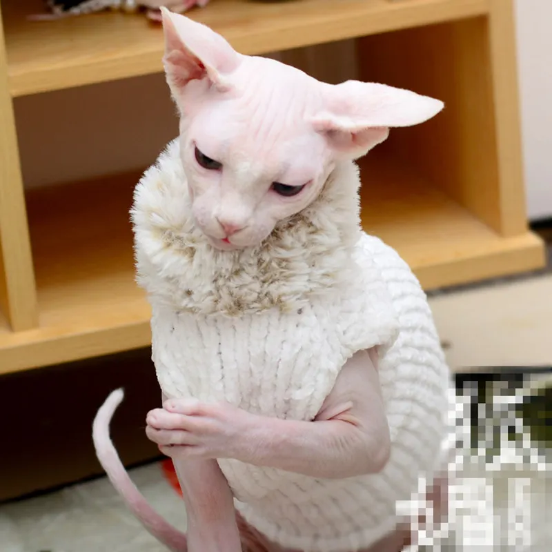 [MPK Store] кошка без шерсти Сфинкс одежда свитер ручной работы теплый жилет осень и зима - Цвет: white