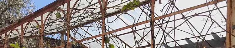 01_13.jpg