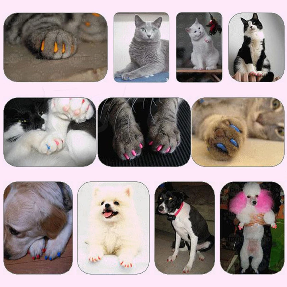 New 20pcs Cute Silicone Soft Cat Nail Caps / Cat Paw Claw / With Arc Pet Nail Protector/Cat Nail Cover With Free Glue Applictor 7 H7d4dd65f5b95494383562703be94ced5T New 20pcs Cute Silicone Soft Cat Nail Caps / Cat Paw Claw / With Arc Pet Nail Protector/Cat Nail Cover With Free Glue Applictor