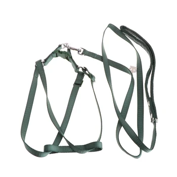 

Parrot Bird Leash Outdoor Adjustable Harness Training Rope Anti Bite Flying Band