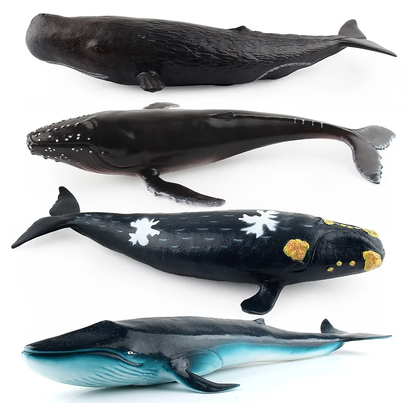 

Simulation sea animal whale model large soft rubber filled cotton decoration blue whale sperm whale killer whale toy