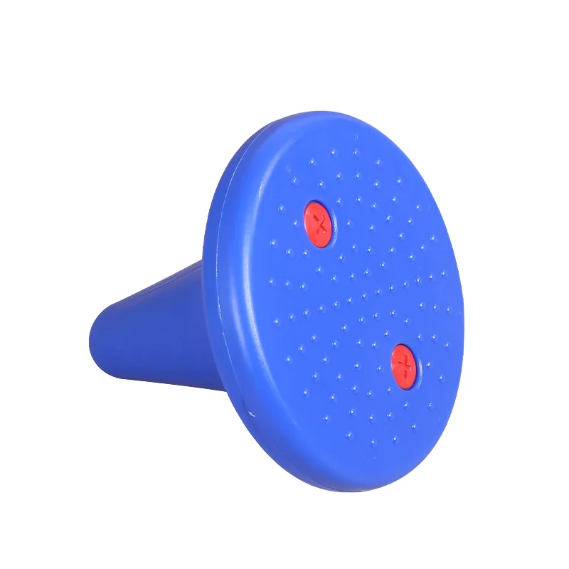 Balance Training Toy 10