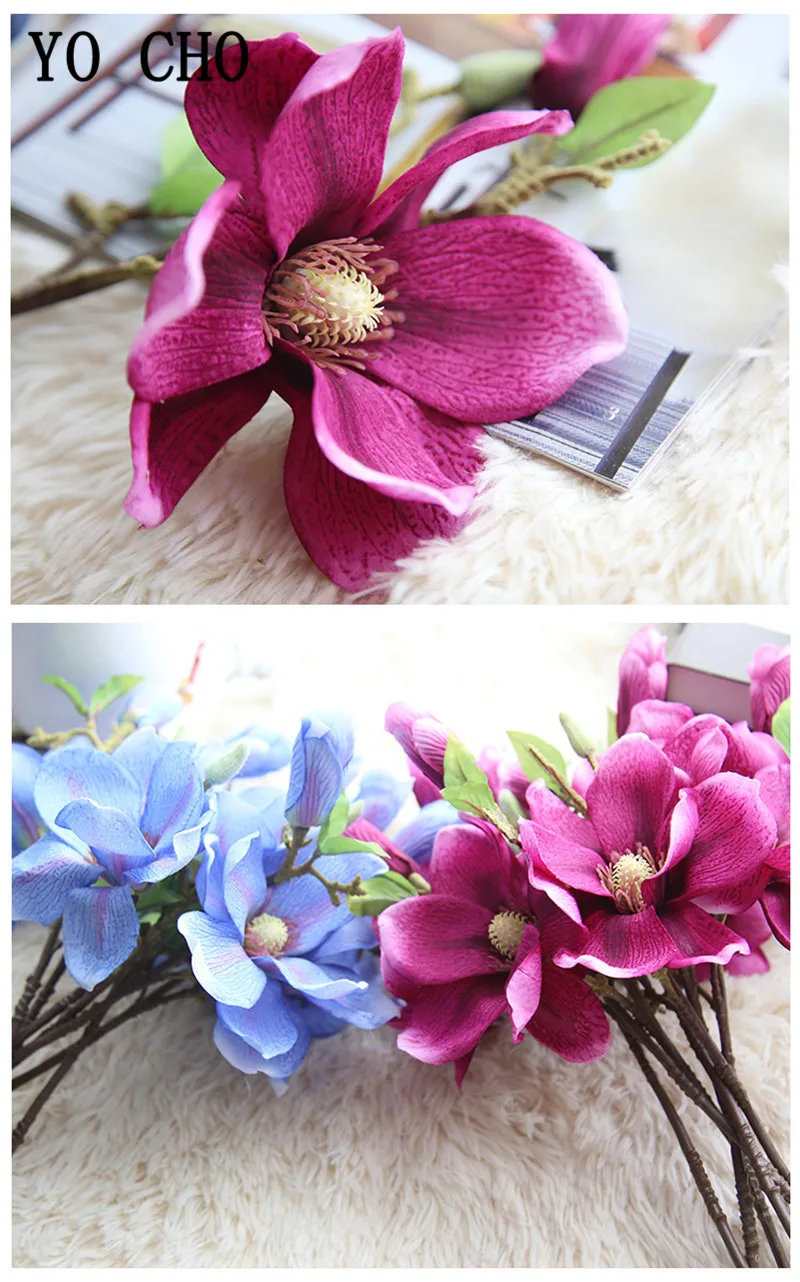 4288931037_1885843273