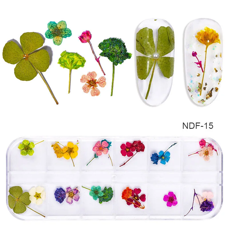 1 чехол сухие цветы ногтей Наклейка многоцветный натуральный Лисий Мех сушеные лепесток Нейл-арт Декор реальные Флора Гель-лак для ногтей, инструменты для маникюра - Цвет: NDF-15