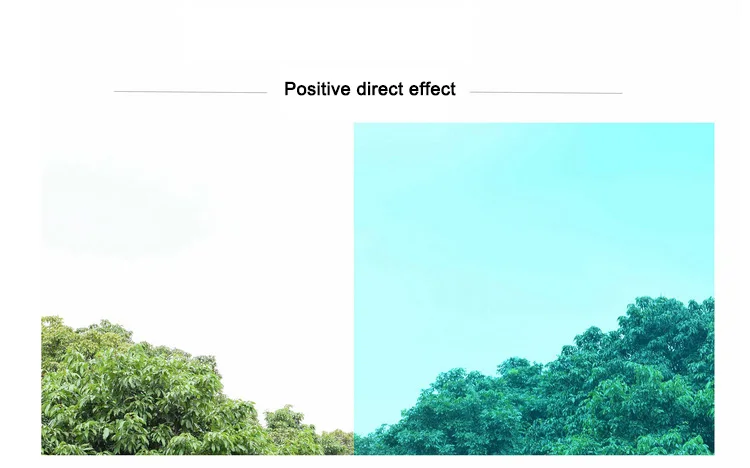 window film home decor (6)