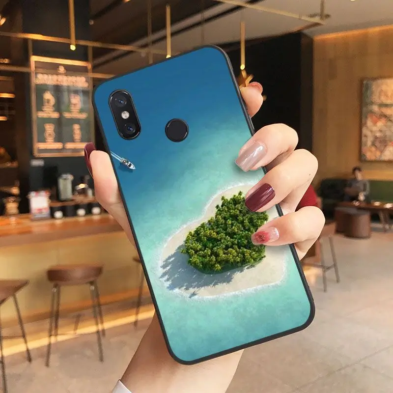 beach starfish blue sky