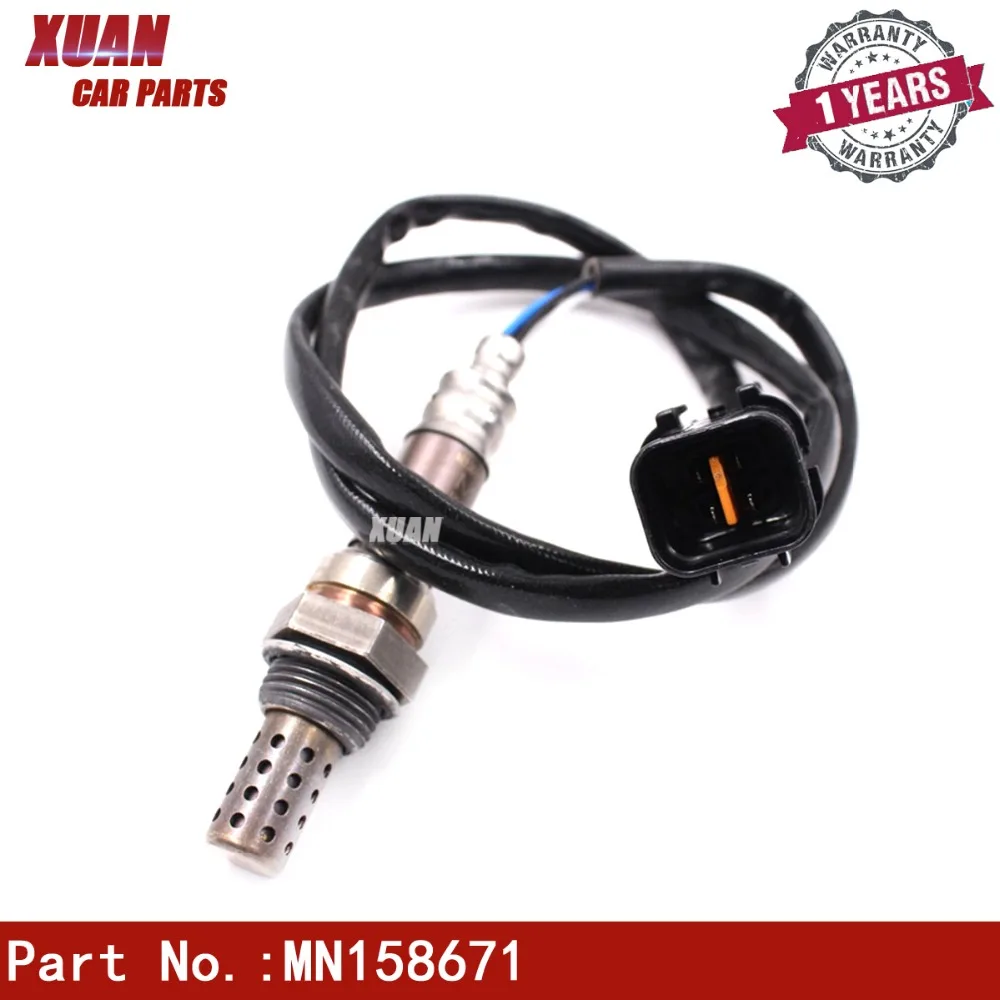 MN158671 (1)