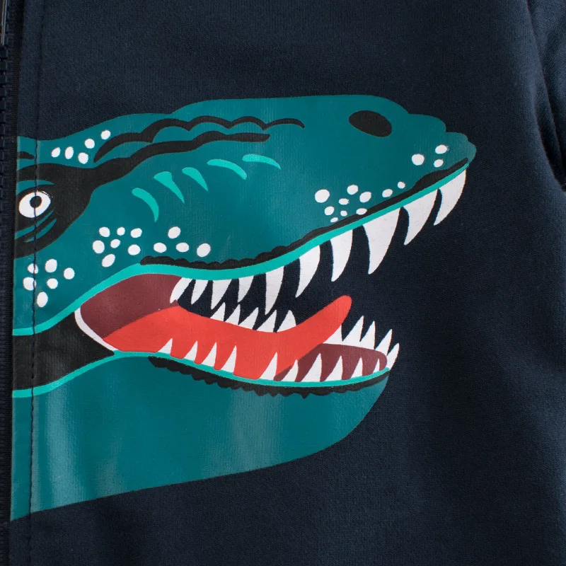 2021 Spring Autumn Children's Hoodie Clothes Kids Boys Girls Cotton Zipper  Dinosaur Cartoon Coat Casual Sweatshirt Clothing - AliExpress 1501