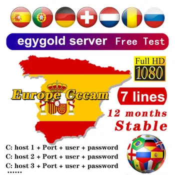 

Most stable satellite cccam cline 1 Year Egygold server 7lines For Spain Portugal Poland Germany Italy DVB-S2 Gtmedia v7 v8 v9