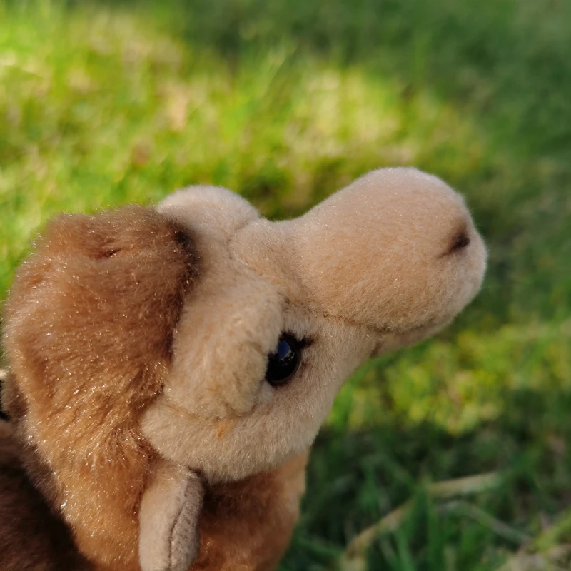 macio, animal adorável, muito bom como presente de aniversário