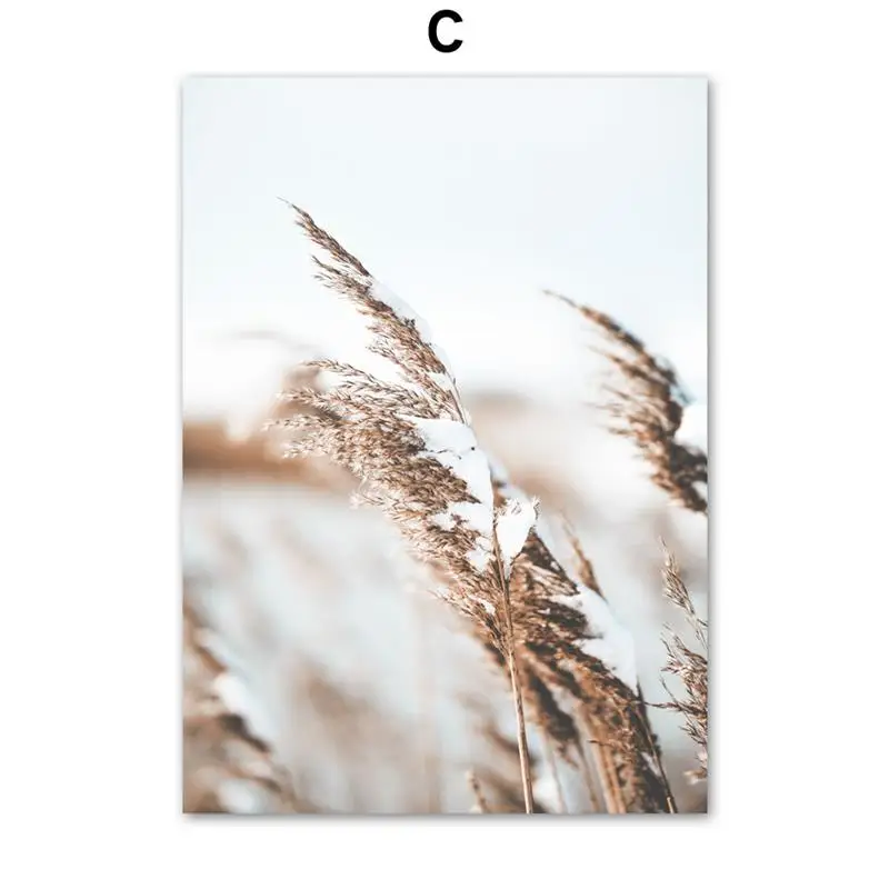 Wall-Art-Canvas-Painting-Beige-Reed-Dried-Flower-Plants-Nordic-Posters-And-Prints-Landscape-Wall-Pictures (5)