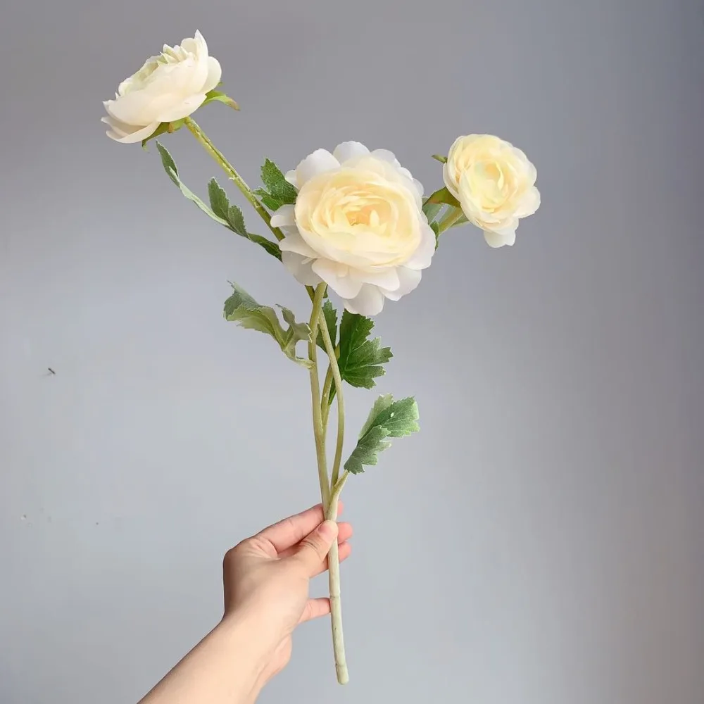 d67032fceba8dcfa23e450e3cf352c9