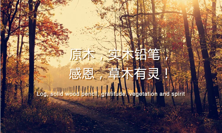 铅笔_01