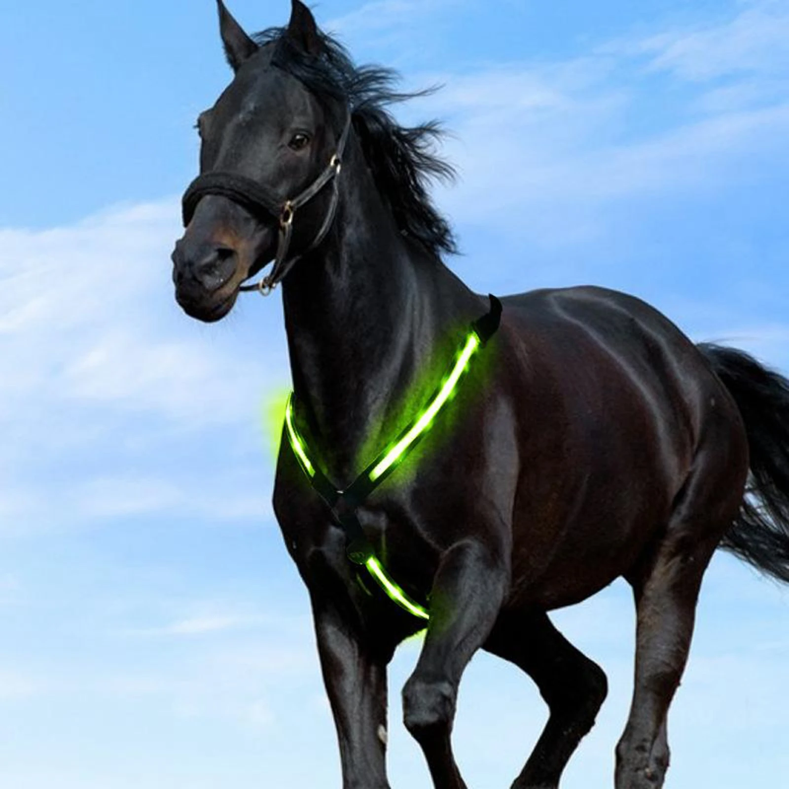 LED Horse Breastplate Collar Safety Reflective Equestrian Breast Collar Straps Horse LED Chest Breastplate Collar 3