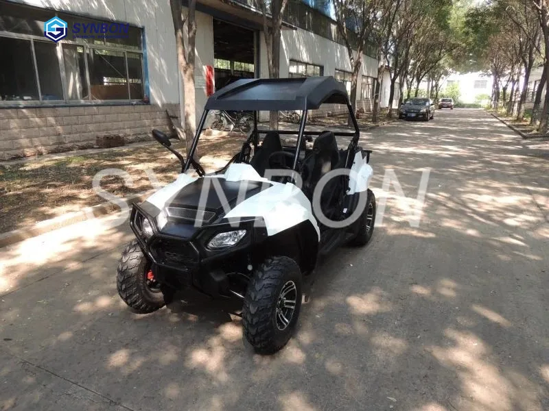 Nuovo Ce All Terrain Vehicle Road Beach Dune Buggy Cross Go Kart Per Adulti Bambino Suv Atv Utv Utility Car
