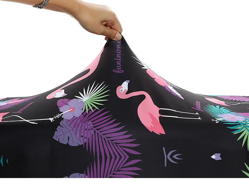 5325181529_322839970