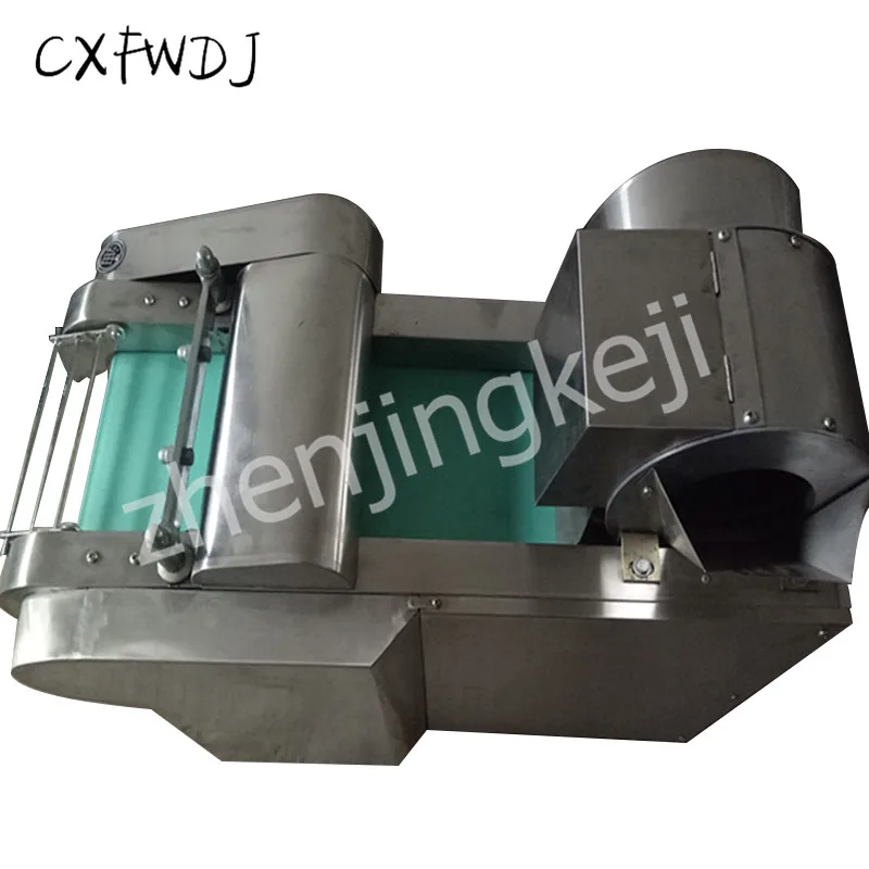  Multi-function Cutting Machine Central Kitchen Canteen Commercial Double Head Vegetable Cutting Sli - 4000120942962