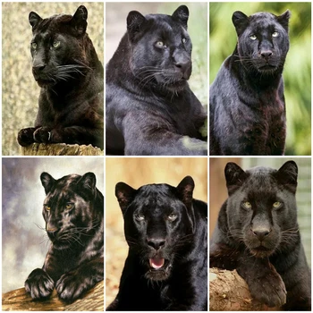 

AZQSD DIY Paint By Numbers For Adult Animal Picture For Living Room Home Decoration Coloring By Numbers Leopard Handpainted Gift