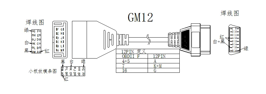 GM 12 PIN 接点图