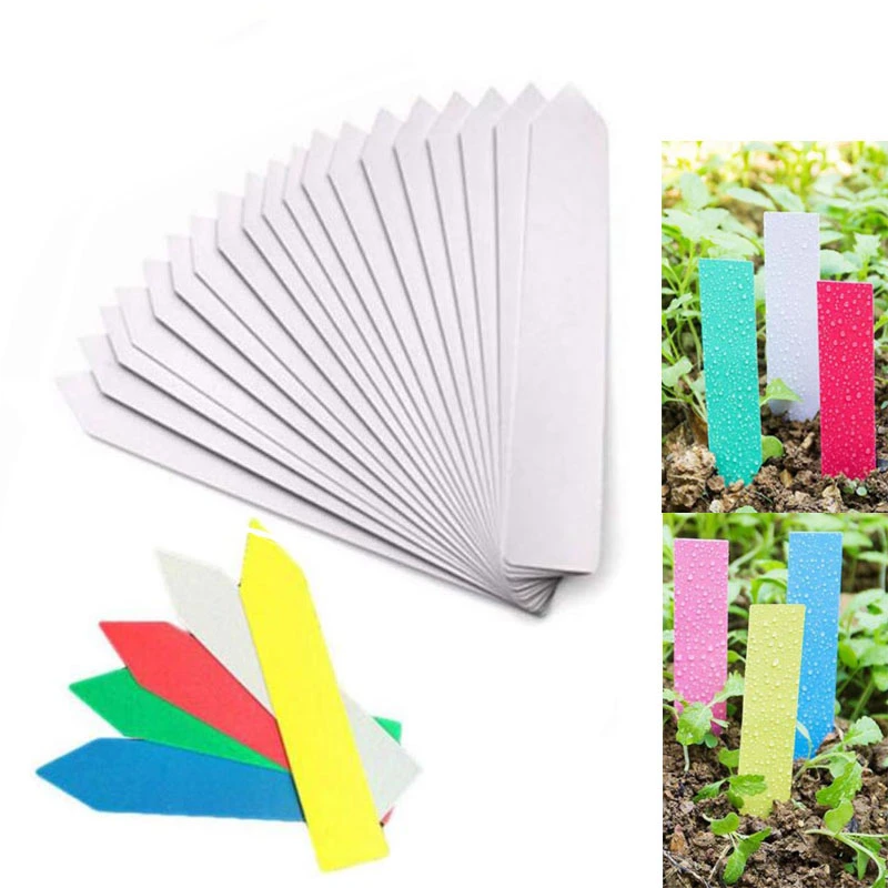 50pcs 100pcs Reusable PVC Plants Labels Hang Tag Tree Fruits Flower Pot Waterproof Markers Sign Garden Tools tree label