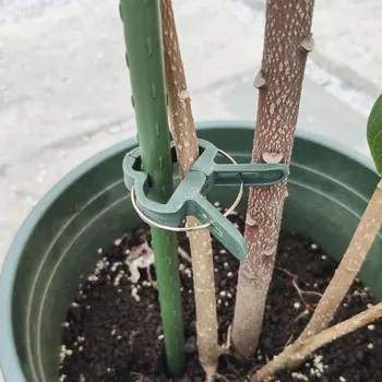 

20pcs Plant Support Clips Garden Flower Fixed Clip Greenhouse Vegetables Clamps Reusable Stems Plants Clip Vines Flower Tool