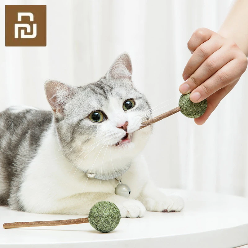 Лидер продаж палочка для зубной пасты кошачьей мяты палочки кошек и