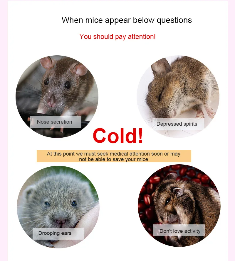 Hamster Toy Small Animals 100Pcs/Bag Soft Colorful Winter Keep Warm Cotton Ball Cute Cage House Filler Supply For Hamster Rat Mouse Small Animals Supplies