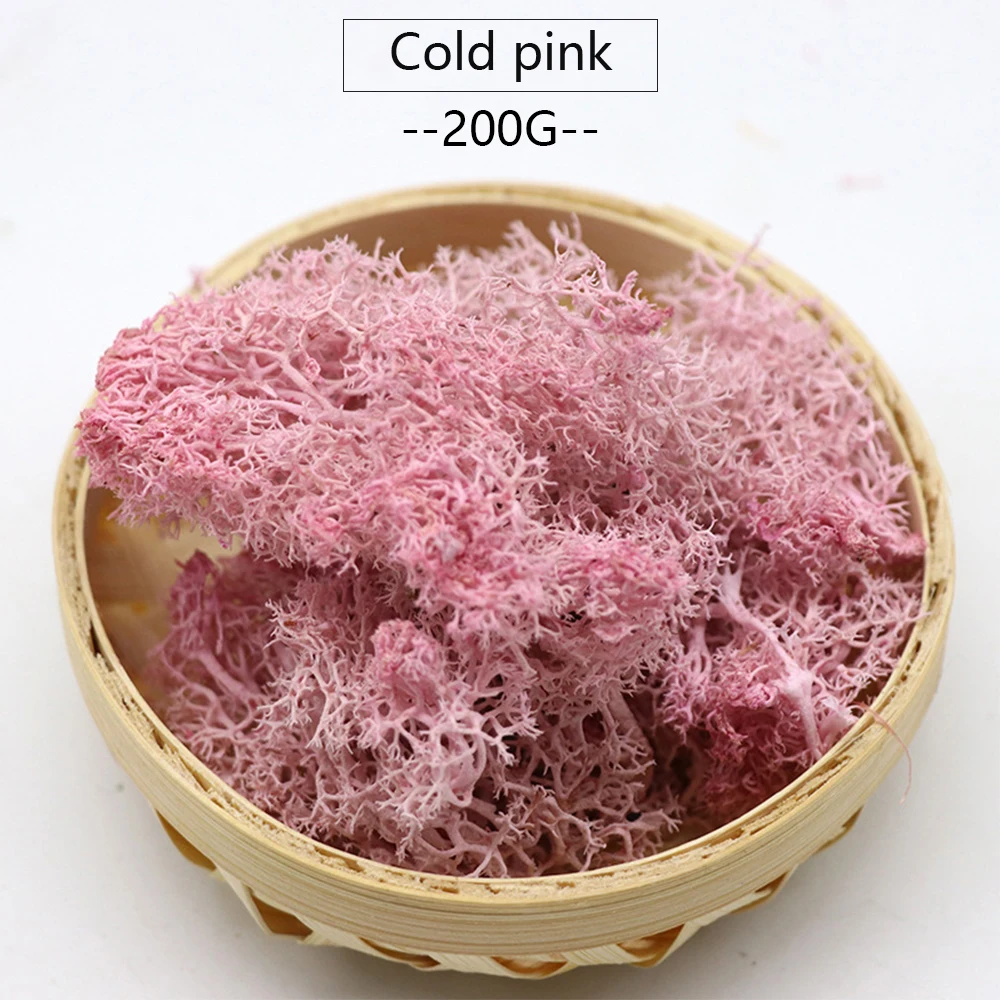 Cold pink 200 г качественные искусственные зеленые горшечные растения, иммертальные поддельные цветы, Моховая трава, для дома, гостиной, декоративные стены, сделай сам, цветок, мини аксессуары - Цвет: Cold pink