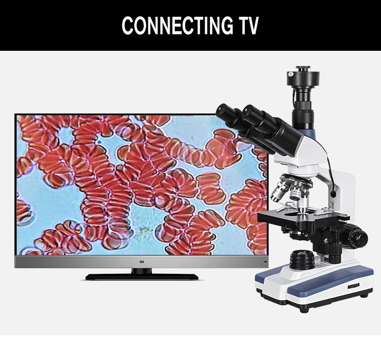 9英寸三目一滴血_17