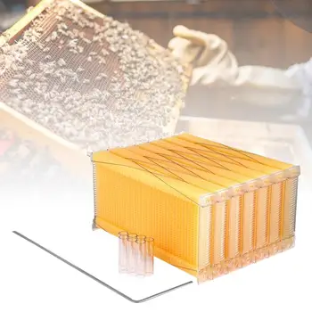 

Auto Flow Beehive Frames Kit Raw Frame Honey Beekeeping Beehive Hive Frames with 7 Harvest Tubes and 1 Harvest Key for Beekeeper