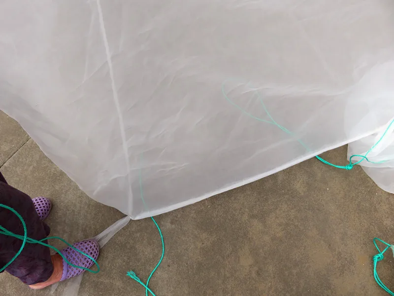 3211002081_102066416