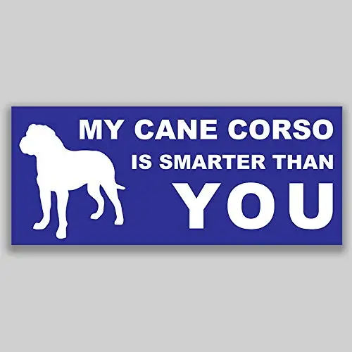 Для My Cane Corso умнее, чем вы виниловая наклейка стикер для окна автомобиля бампер 2-Pack качество УФ-защита