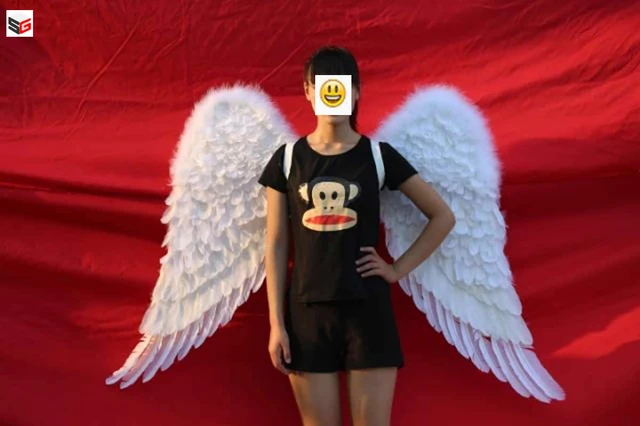 Disfraz de alas de Ángel de pluma blanca para adultos, accesorio de  actuación para escenario, fotografía - AliExpress